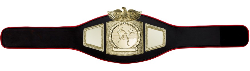PROEAGLE THAI BOXING CHAMPIONSHIP BELT - PROEAGLE/G/TBOG - AVAILABLE IN 6+ COLOURS PROEAGLE THAI BOXING CHAMPIONSHIP BELT - PROEAGLE/G/TBOG - AVAILABLE IN 6+ COLOURS